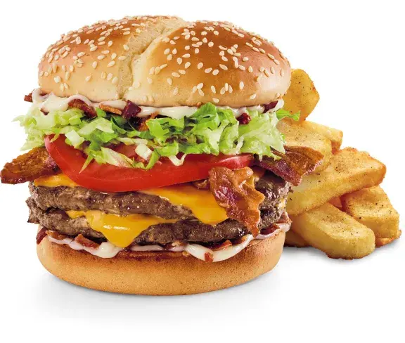 Pig out tavern burger with fries